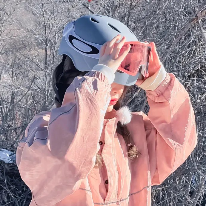捣蛋的公鸡