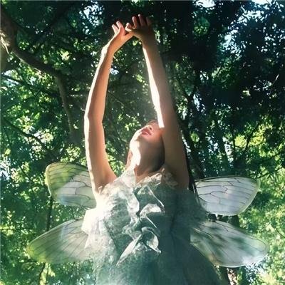奇幻森林之兽语小子