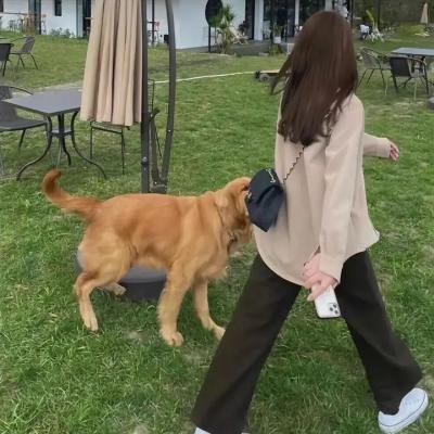 炮制女朋友粤语